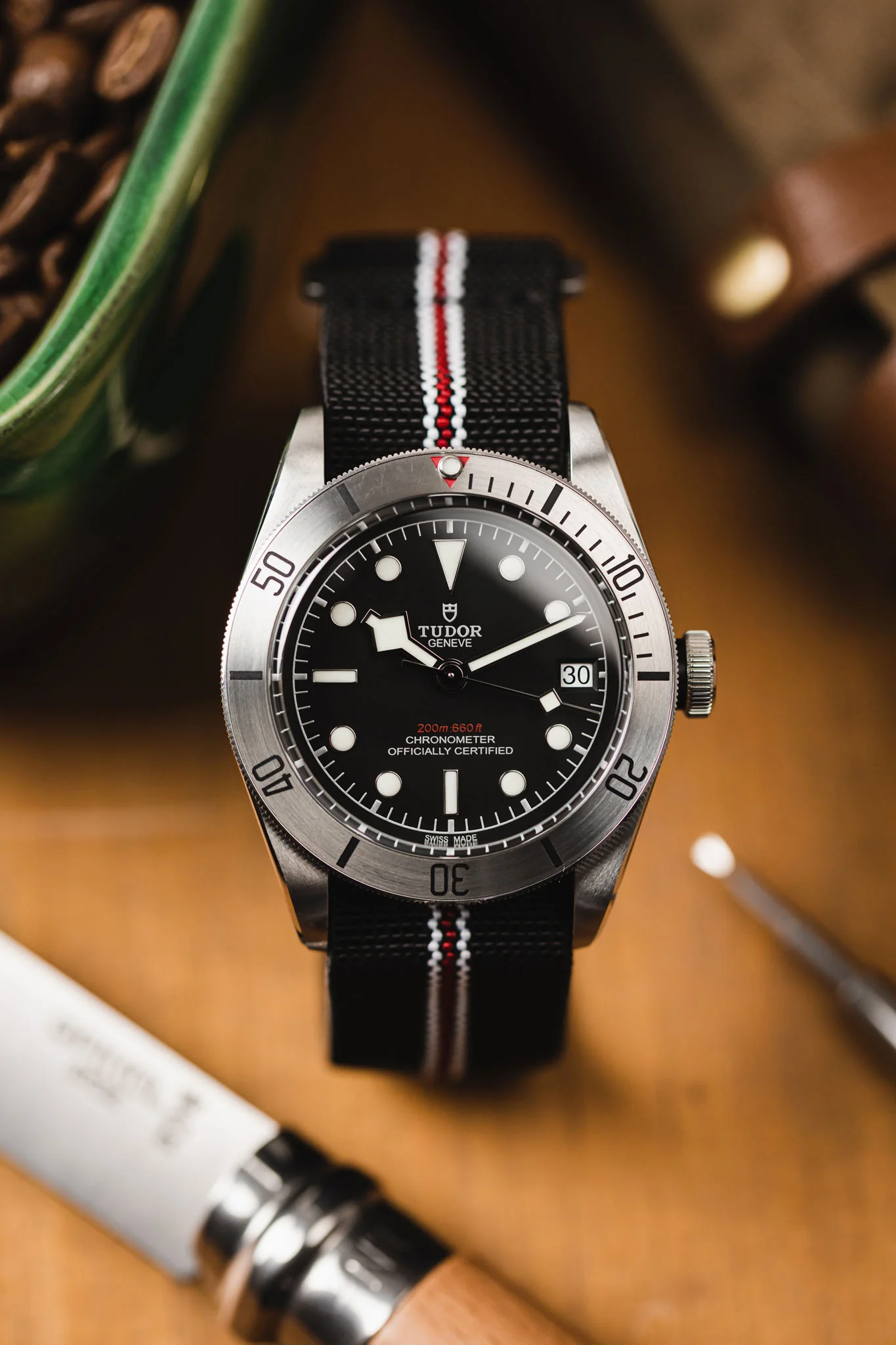 Erika's Originals CORSA MN™ Strap with RED Centerline - BRUSHED Hardware - Image 4