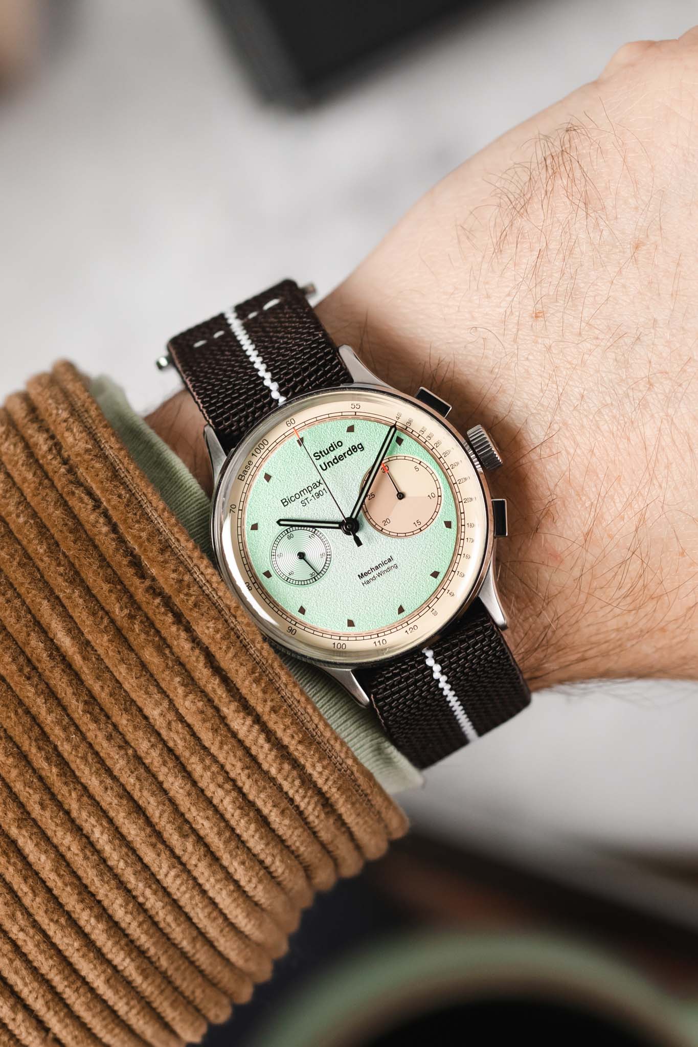 Erika's Originals HAVANA MN™ Strap with WHITE Centerline - BRUSHED Hardware - Image 2