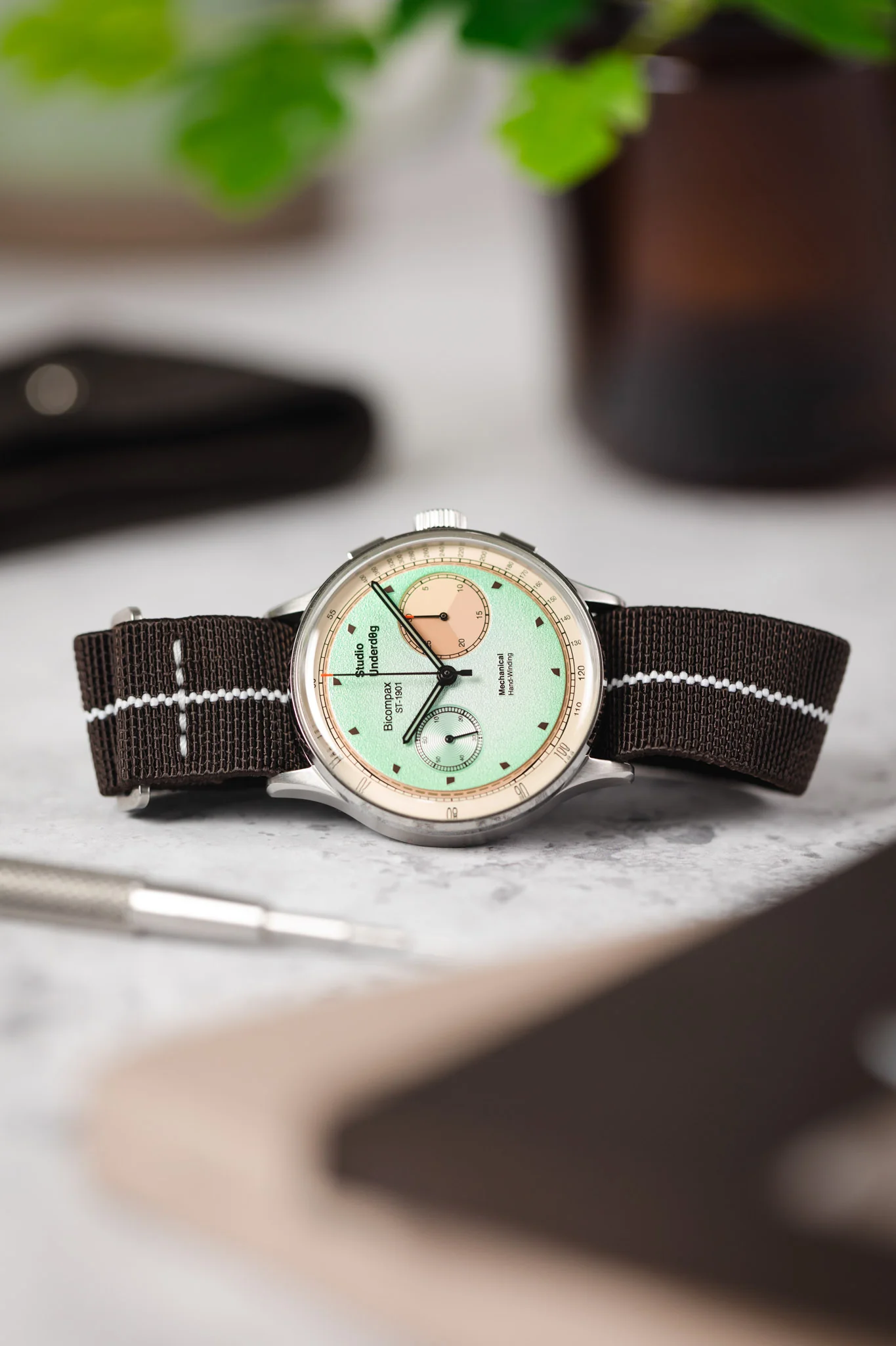 Erika's Originals HAVANA MN™ Strap with WHITE Centerline - BRUSHED Hardware - Image 4