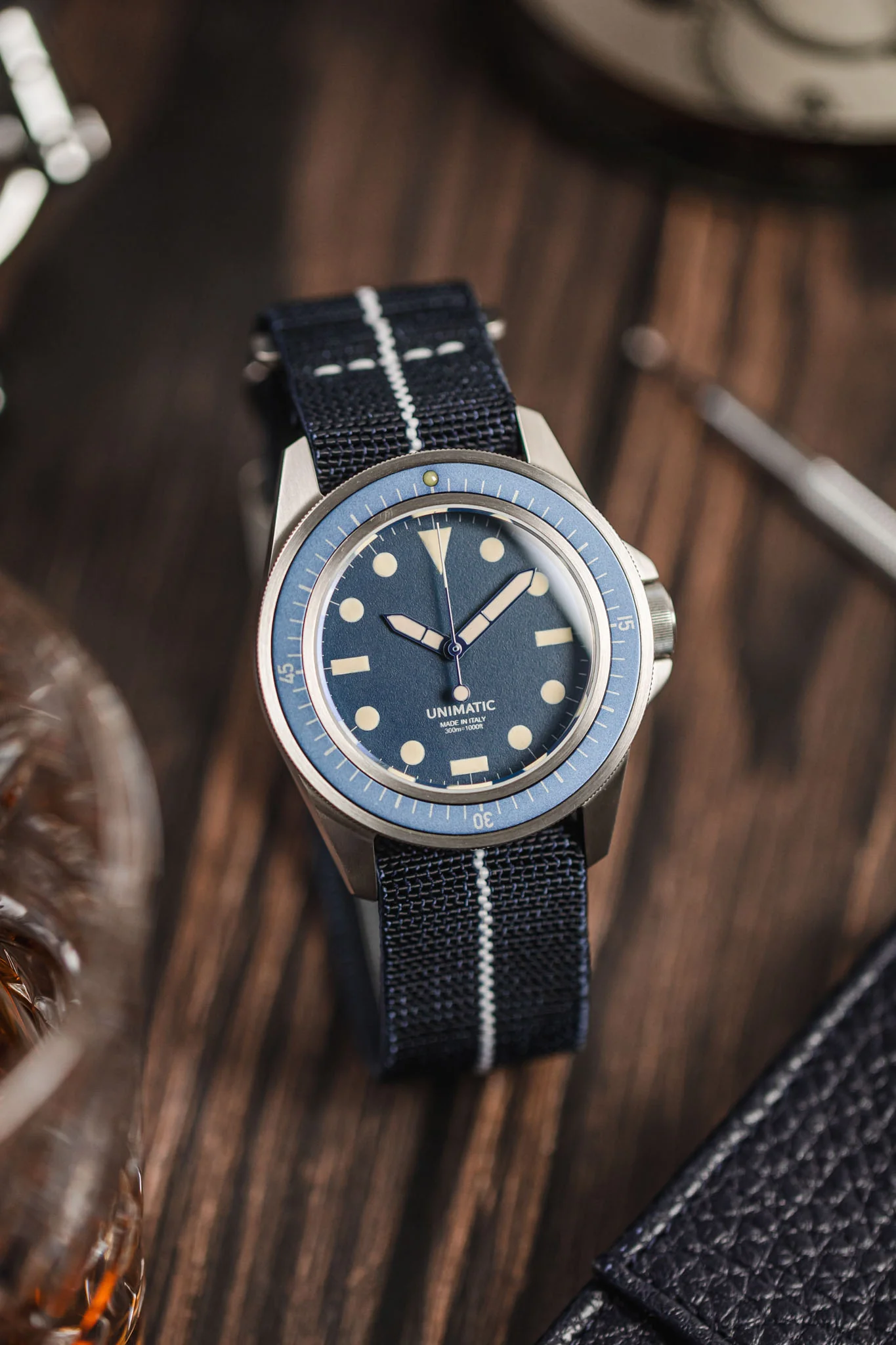 Erika's Originals TRIDENT MN™ Strap with WHITE Centerline - BRUSHED Hardware - Image 8