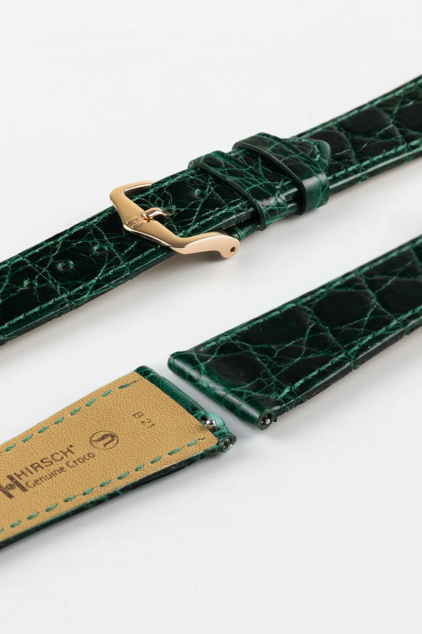 Hirsch GENUINE CROCO Shiny Crocodile Leather Watch Strap in GREEN - Image 9