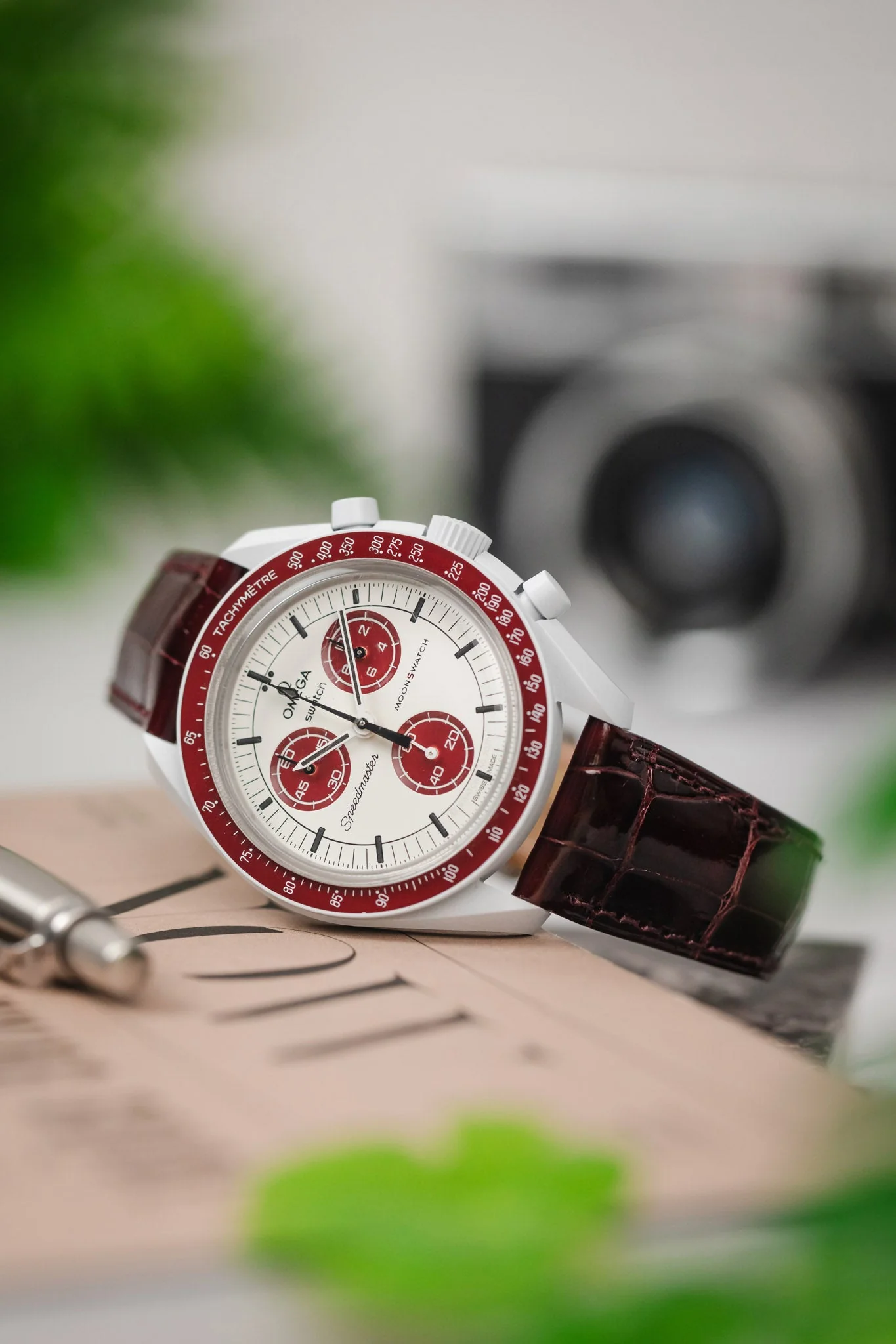 Hirsch LONDON Shiny Alligator Leather Watch Strap in BURGUNDY - Image 4