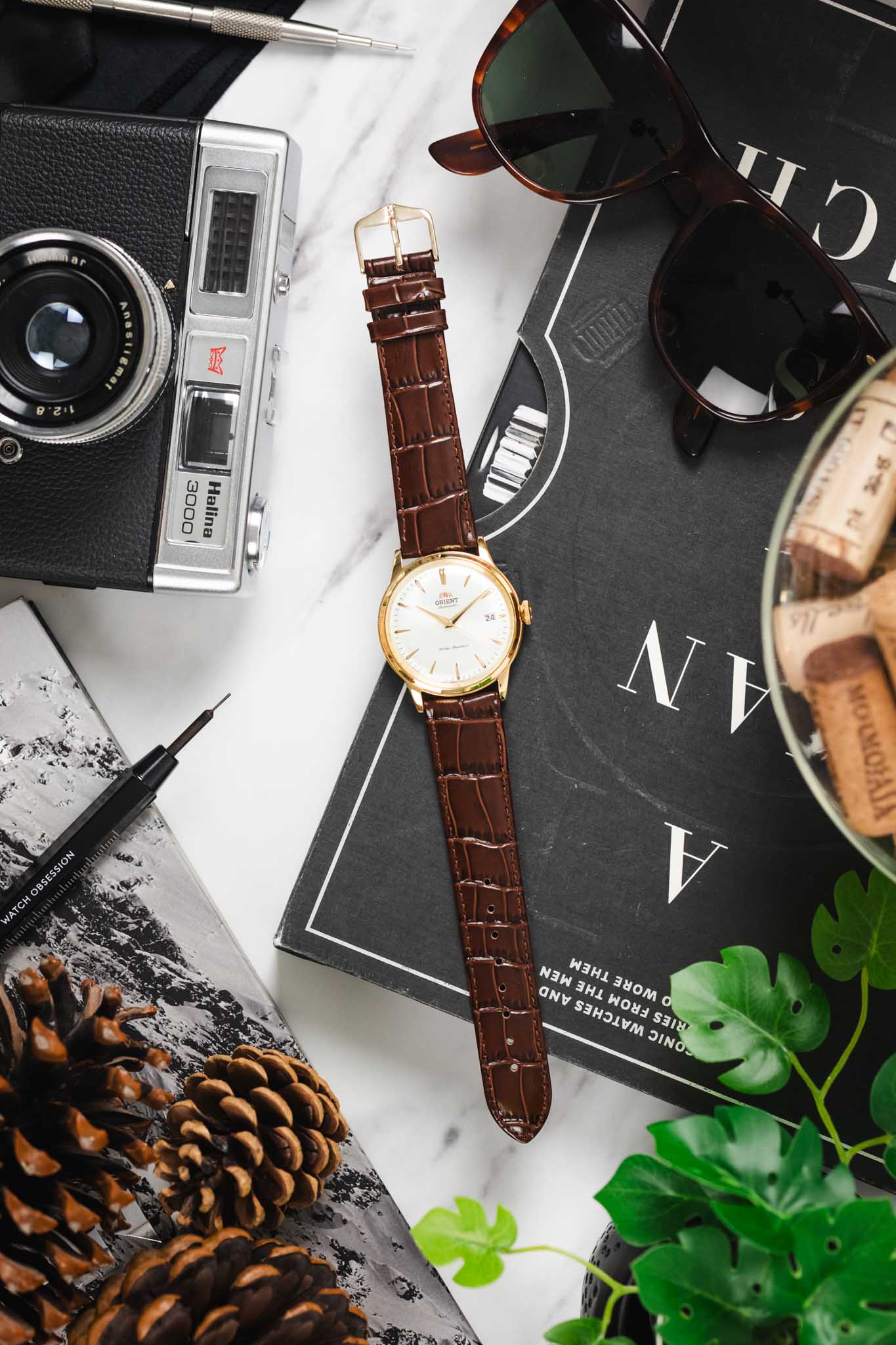 Hirsch LOUISIANALOOK Alligator Embossed Leather Watch Strap in BROWN - Image 11