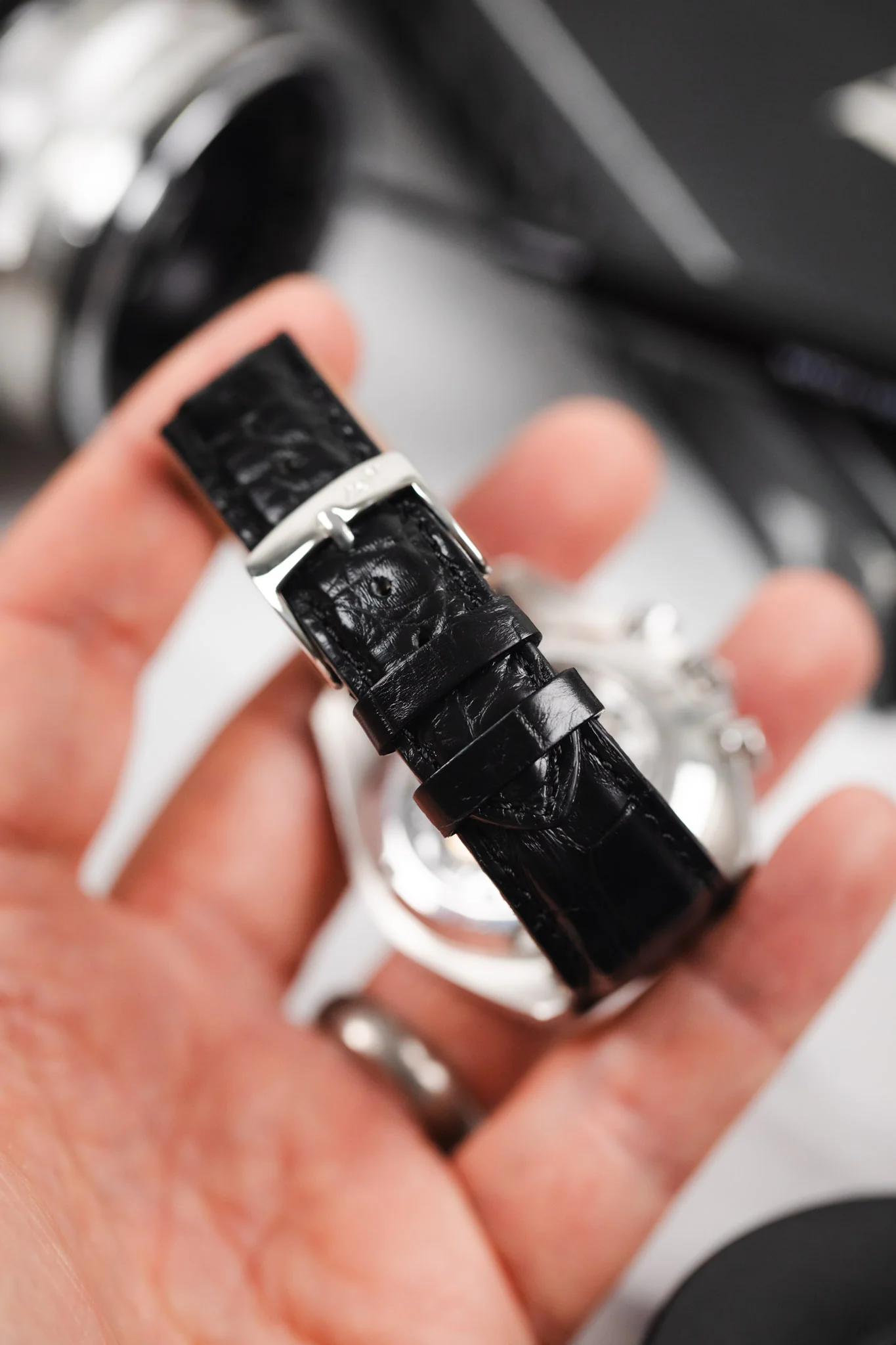 Morellato AMADEUS Genuine Alligator Watch Strap in BLACK - Image 6