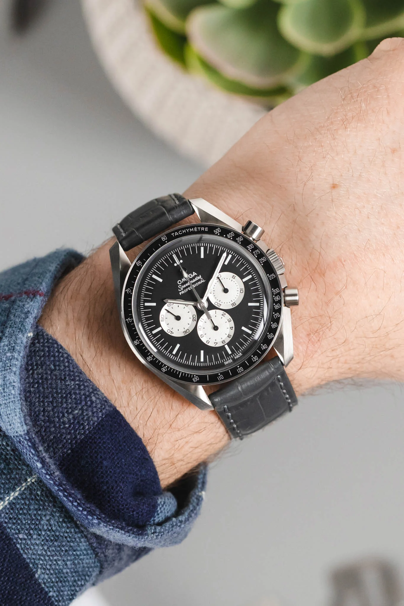 Morellato BOLLE Alligator-Embossed Calfskin Leather Watch Strap in DARK GREY - Image 2