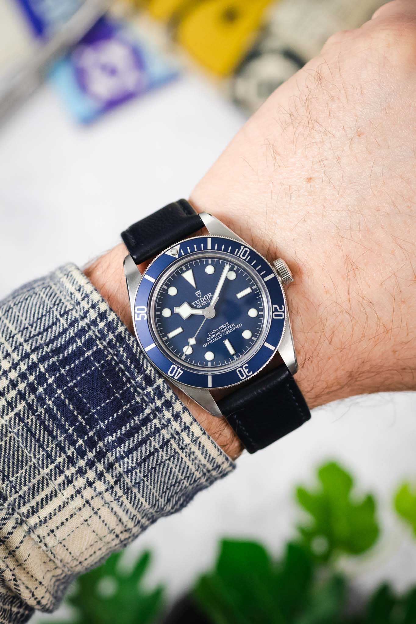 Morellato LAURO Goatskin-Grain Vegan Leather Watch Strap in BLUE - Image 2