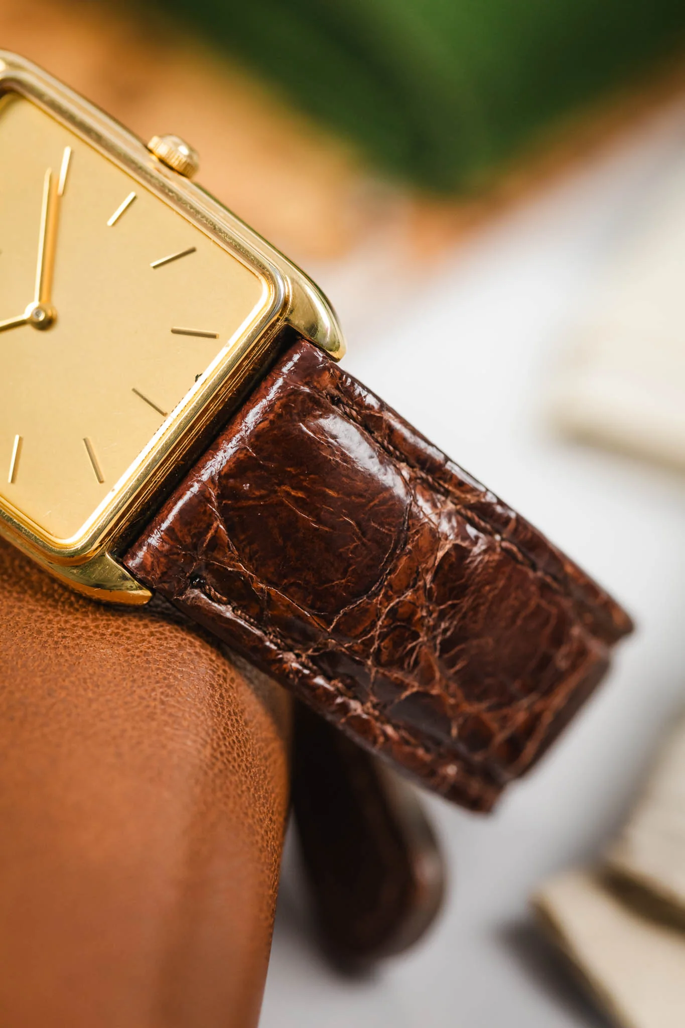 Morellato MOMBASA Genuine Crocodile Watch Strap in DARK BROWN - Image 6