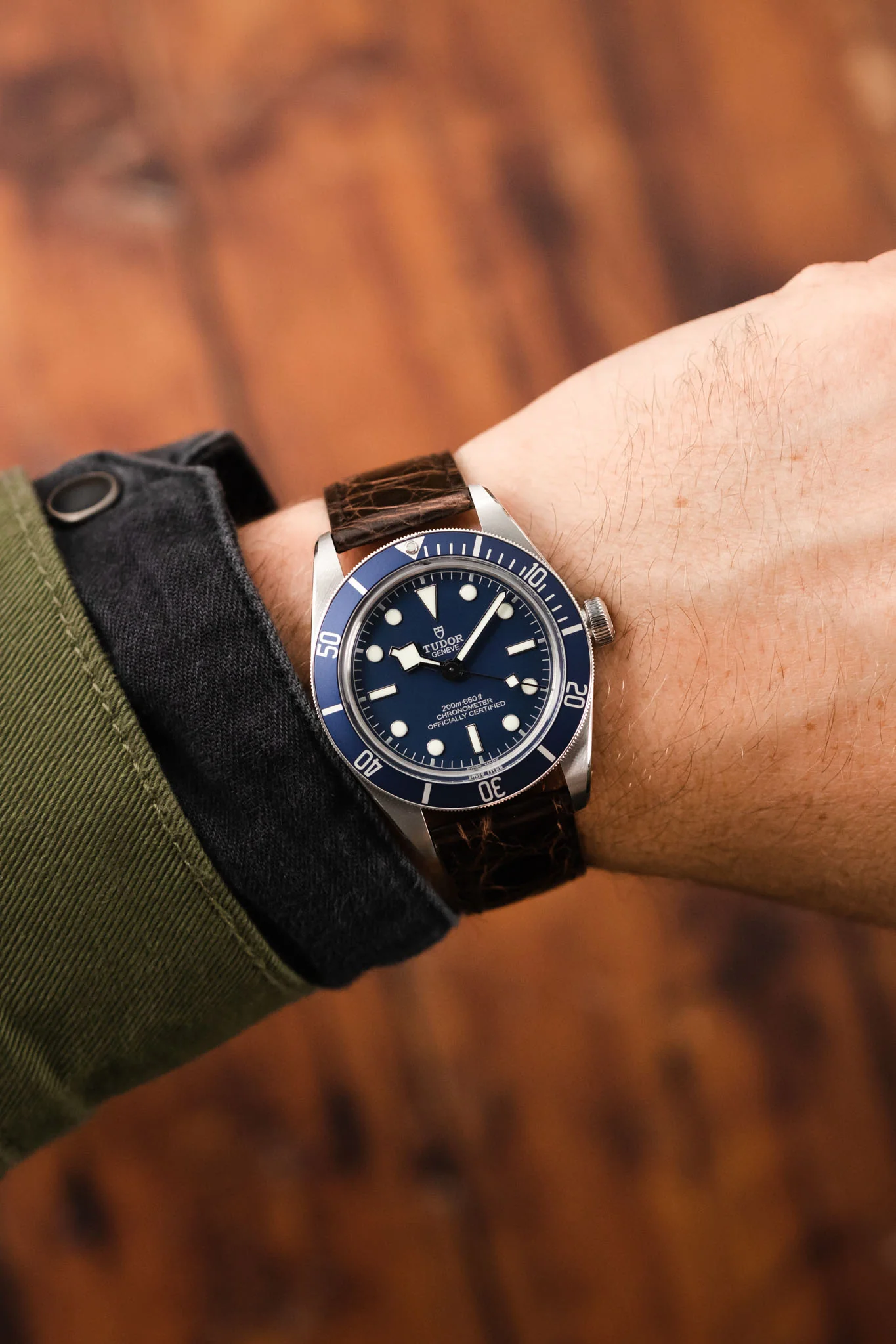 Morellato TRACY Genuine Crocodile Watch Strap in DARK BROWN - Image 2