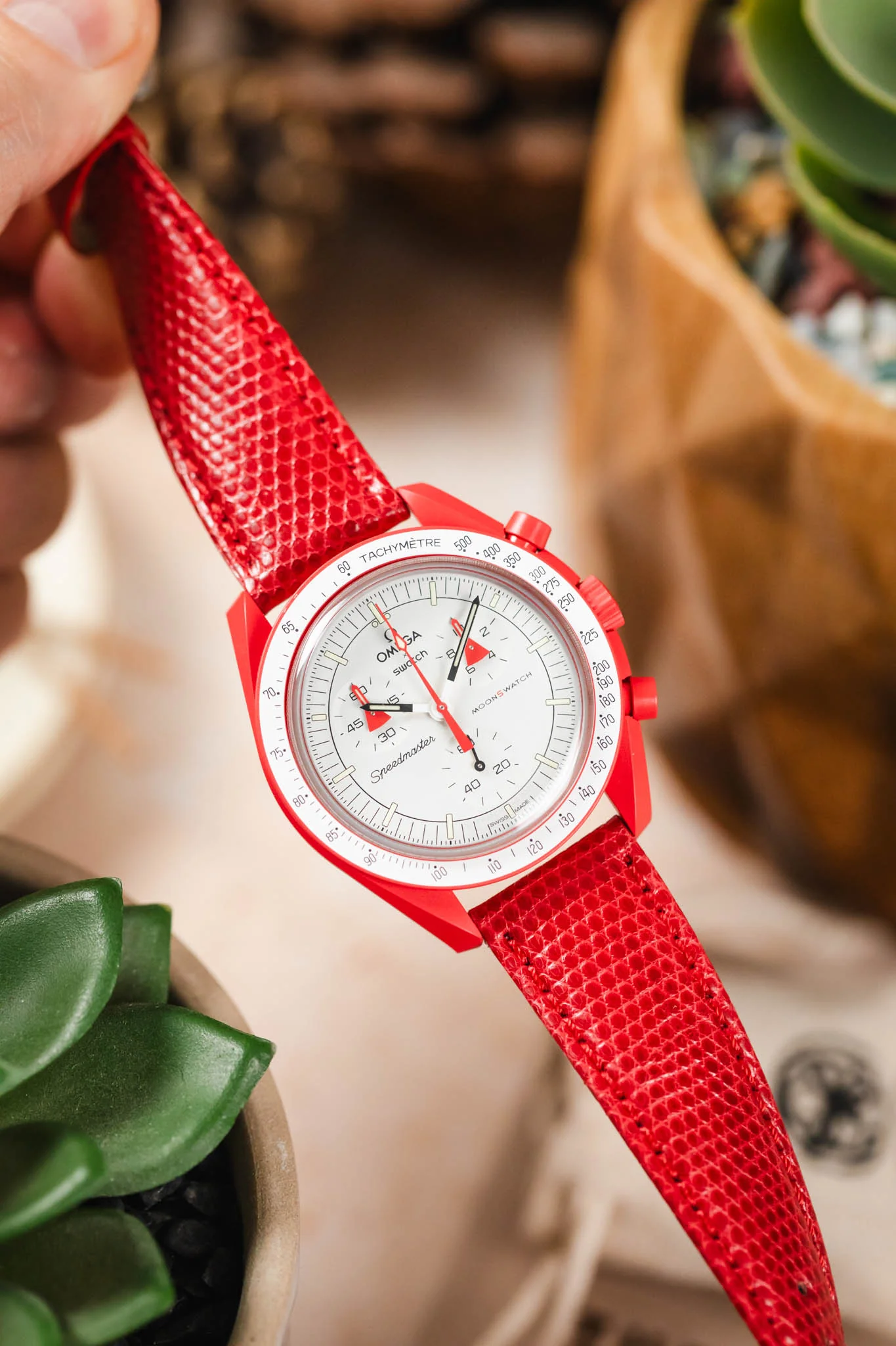 Morellato VIOLINO Genuine Lizard Skin Strap in RED - Image 6