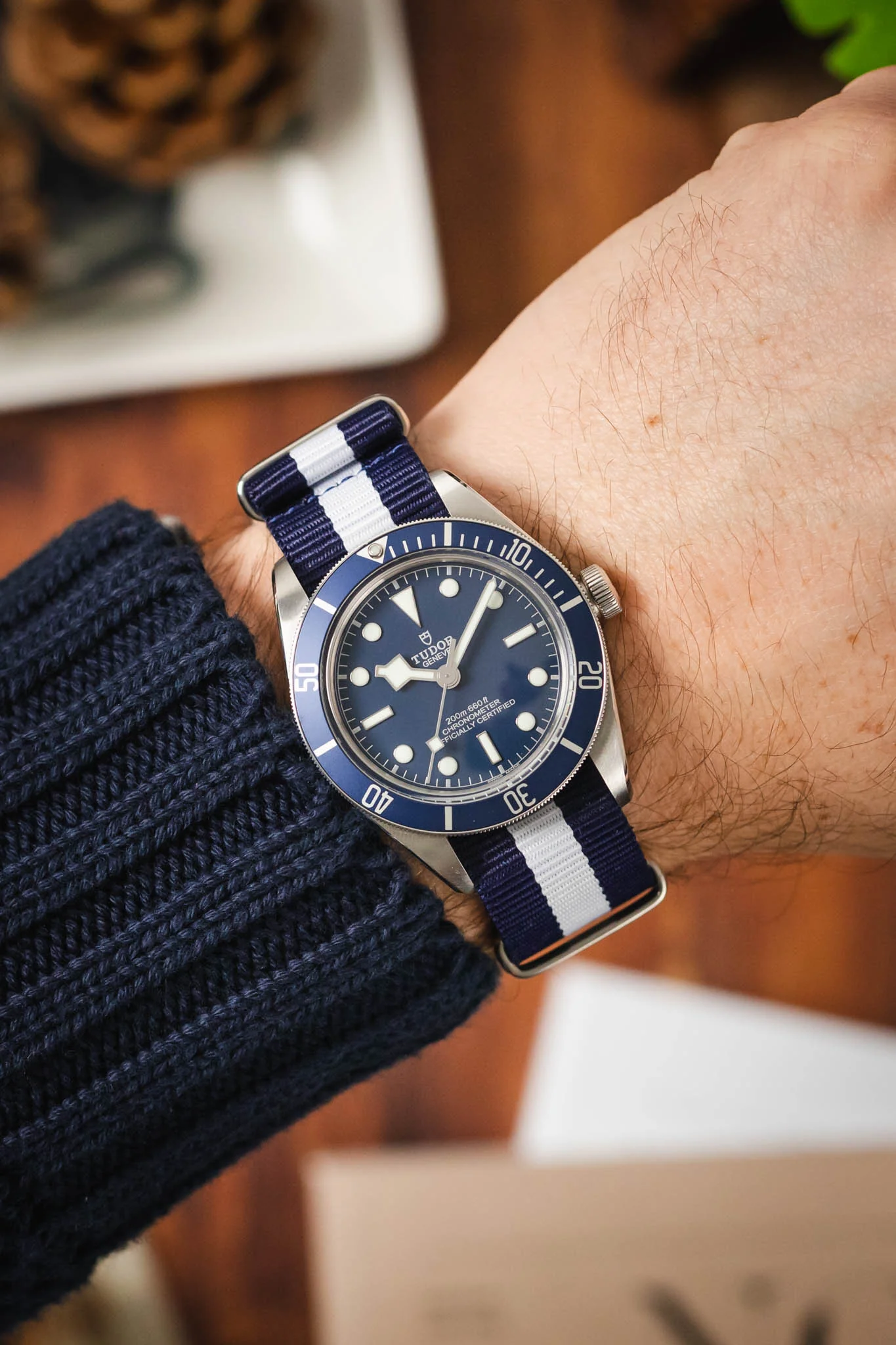 Nylon Watch Strap in DARK BLUE with WHITE Stripe - Image 2