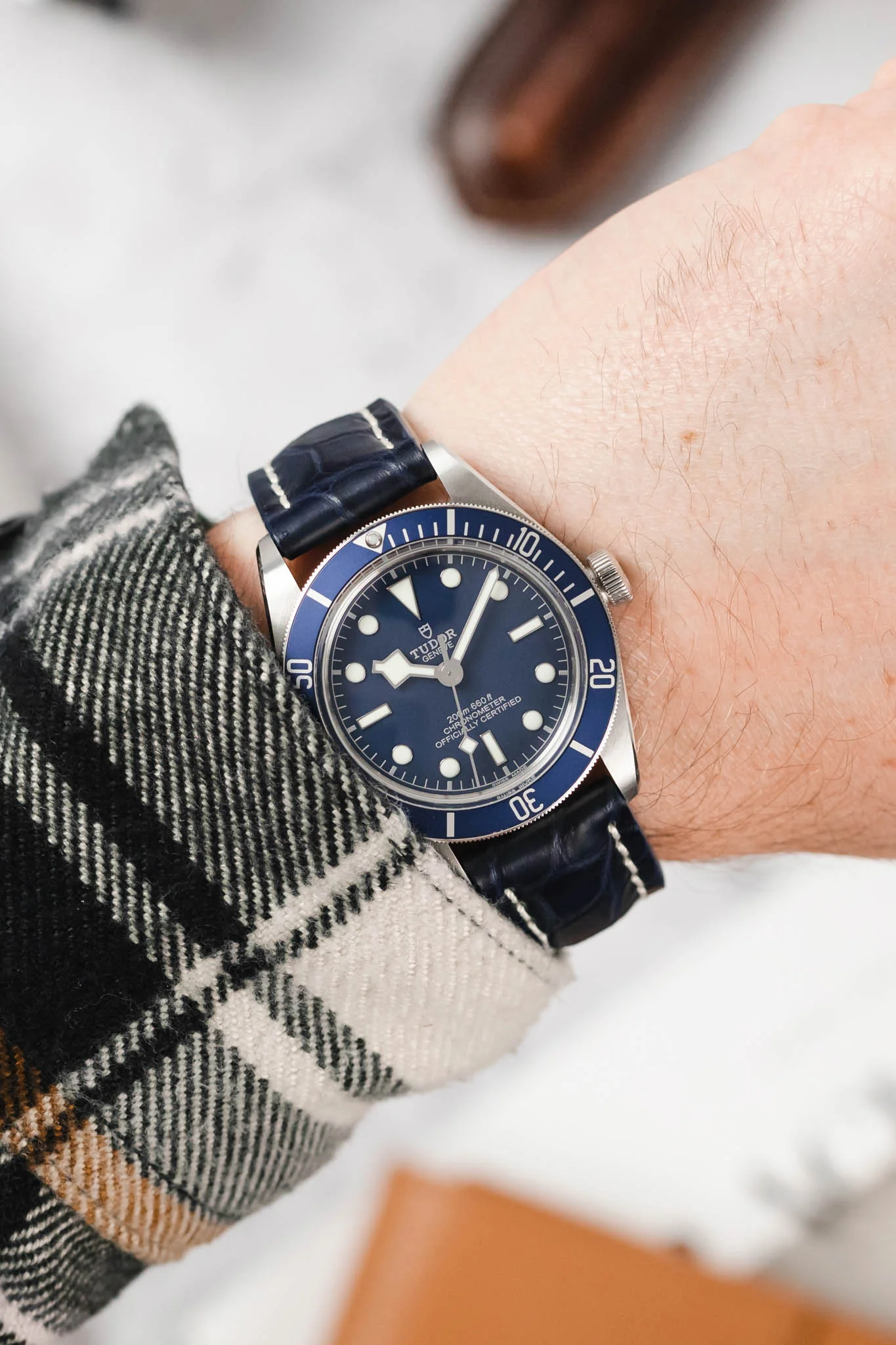 RIOS1931 AMBASSADOR Genuine Alligator Flank Padded Watch Strap in OCEAN BLUE - Image 2