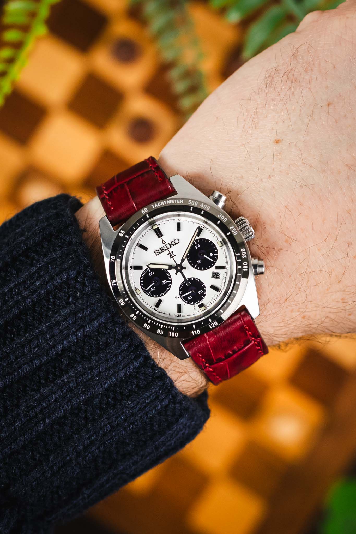RIOS1931 ORLANDO Alligator-Embossed Leather Watch Strap in BURGUNDY - Image 2