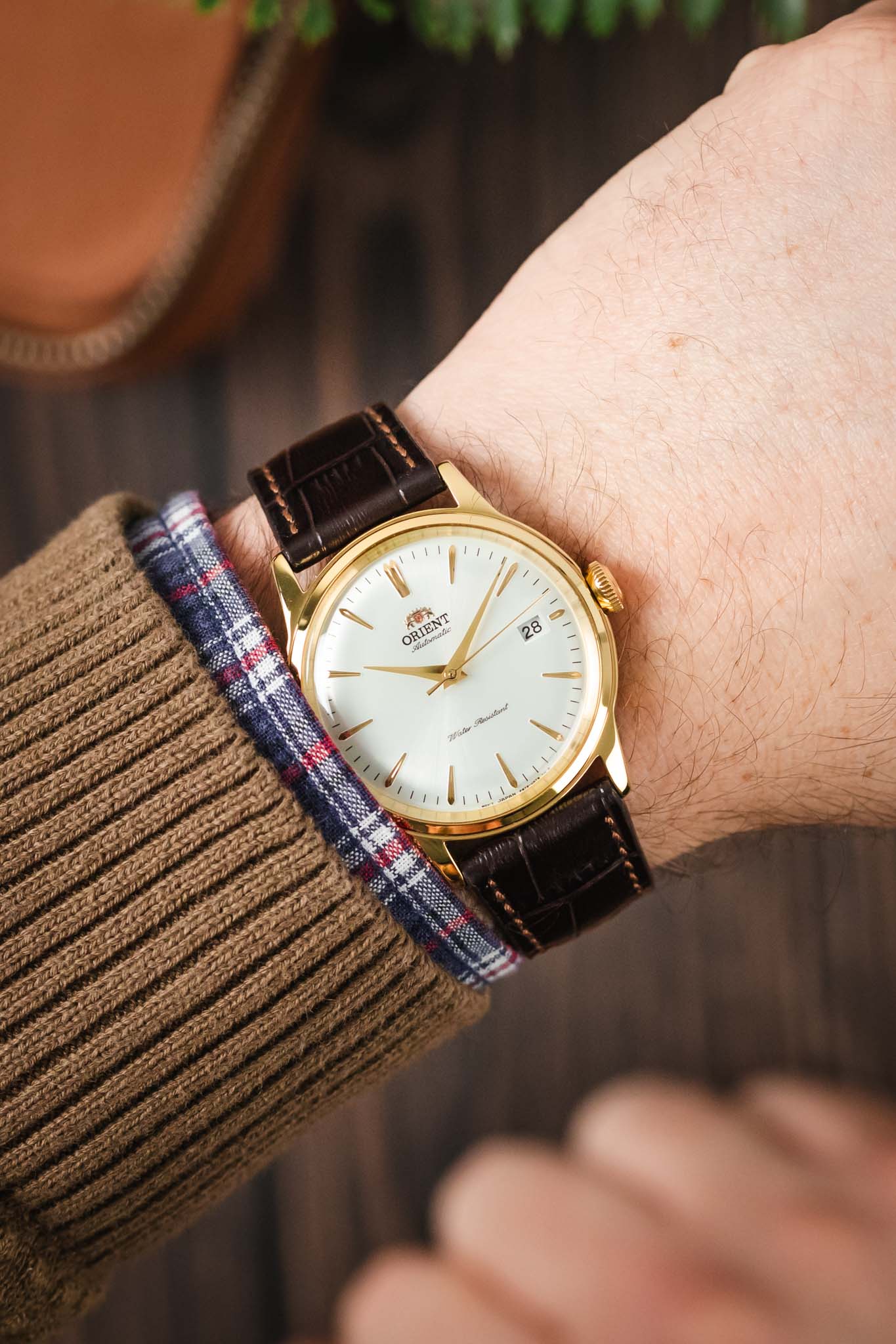 RIOS1931 ORLANDO Alligator-Embossed Leather Watch Strap in MOCHA - Image 2