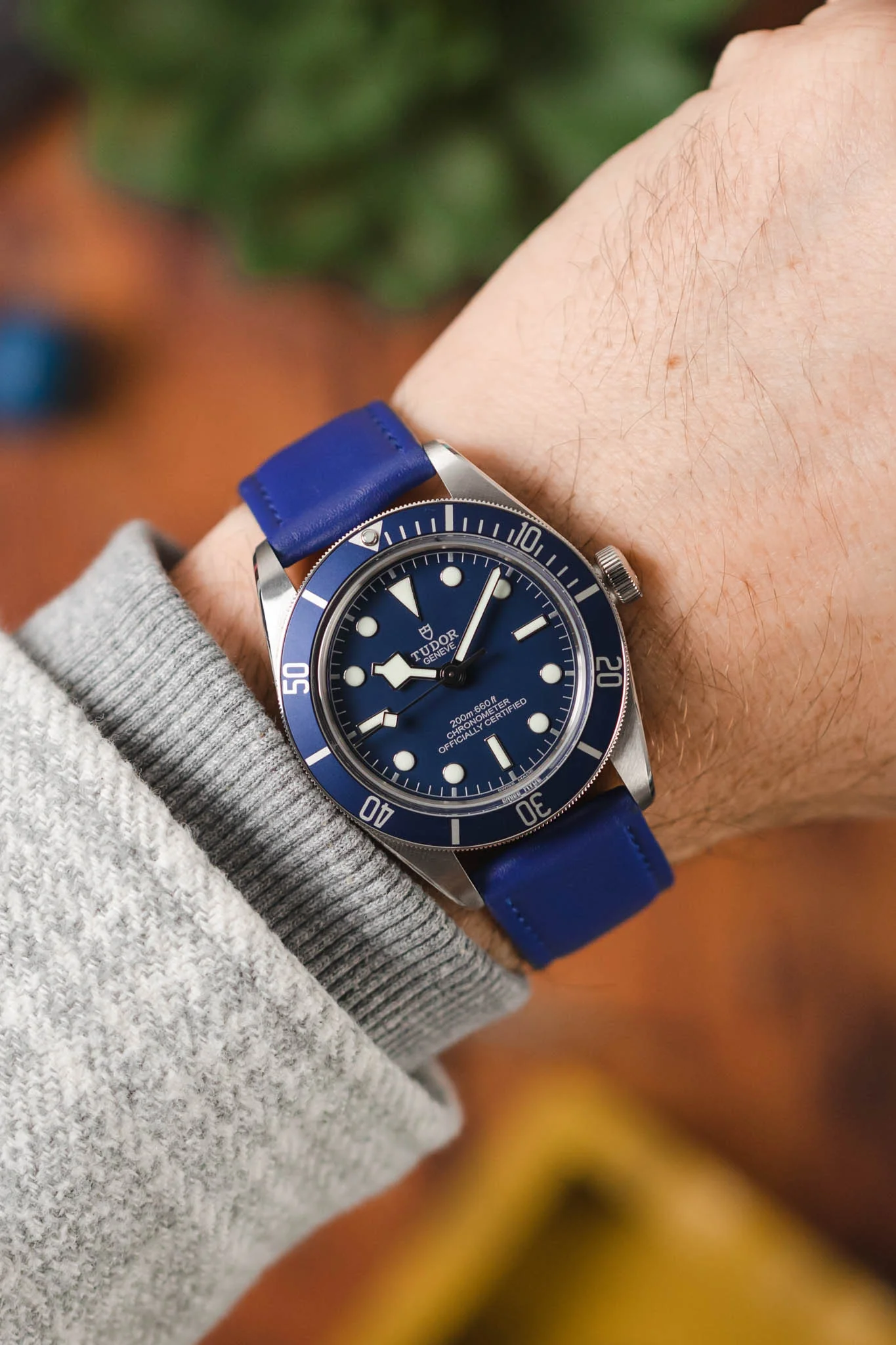 RIOS1931 TOSCANA Square-Padded Calfskin Leather Watch Strap in ROYAL BLUE - Image 2