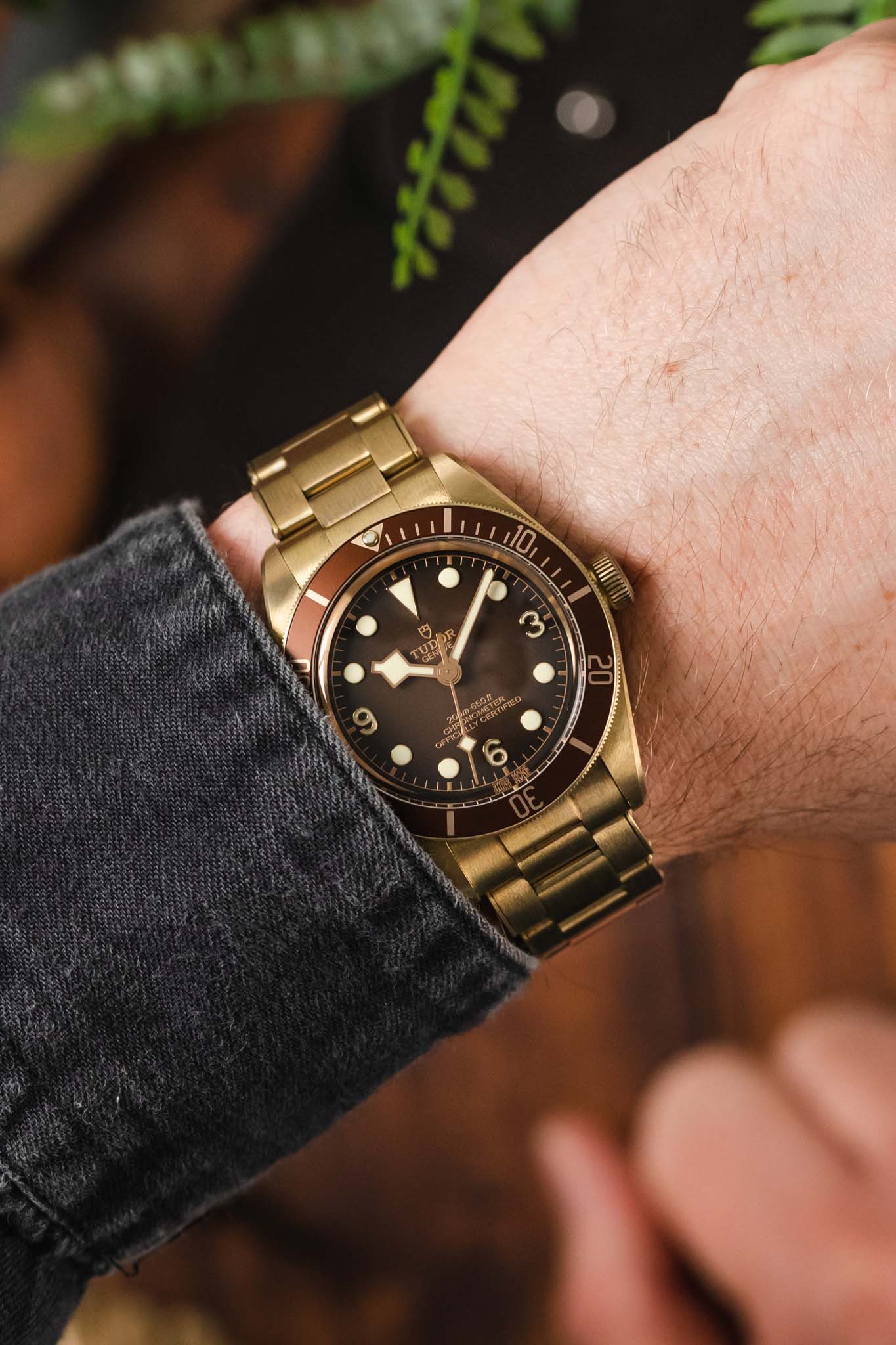 TUDOR Black Bay 58 Bronze - Image 2